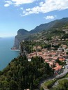 Tremosine