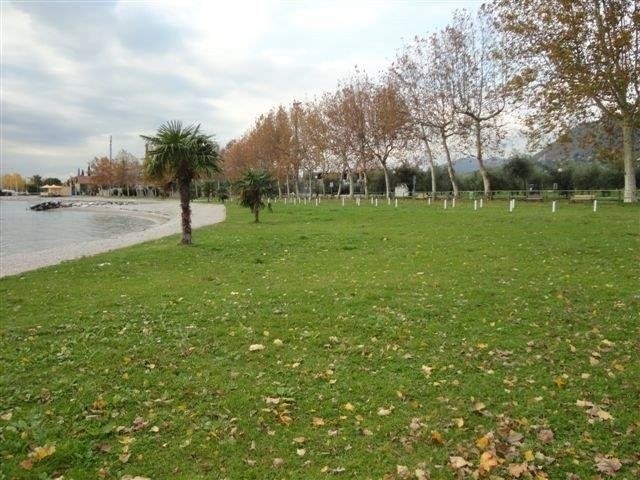 Spiaggia-degli-Ulivi03 - Spiaggia-degli-Ulivi03